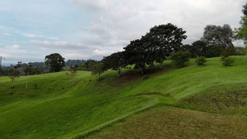 Campo de golf-eje cafetero-destino filmico