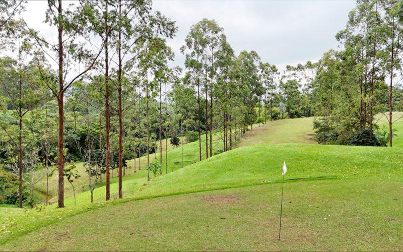 Campo de golf-eje cafetero-destino filmico