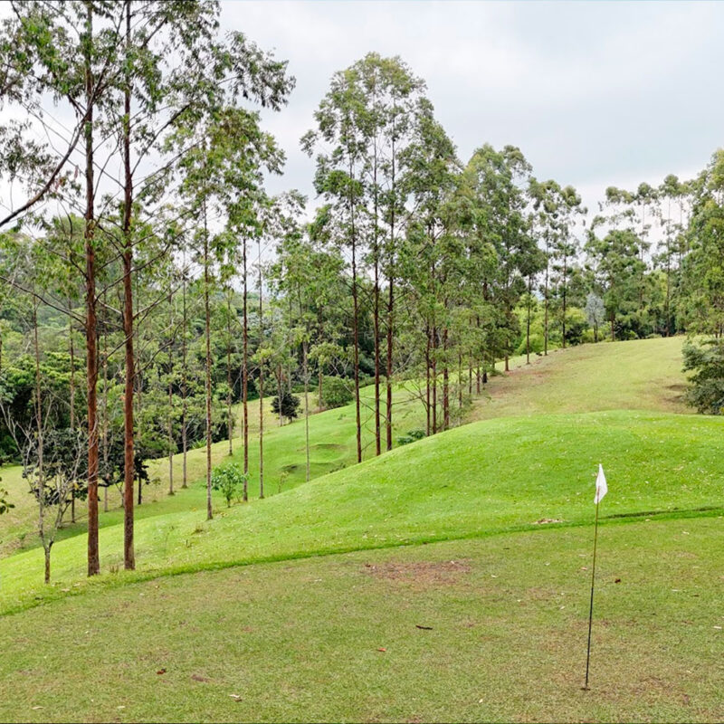 Campo de golf-eje cafetero-destino filmico