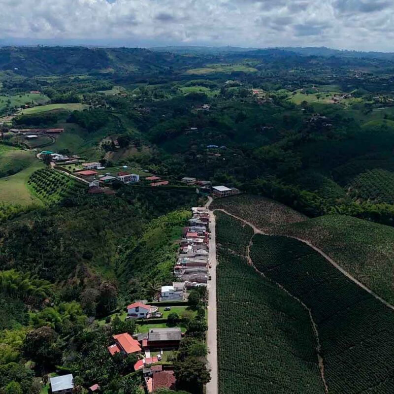 Carretera rural