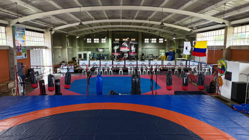 COLISEO DE COMBATE - Image 3