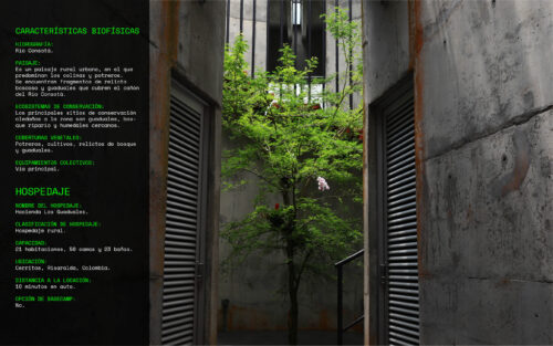 Edificio brutalista_destino filmico_eje cafetero